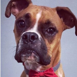 Meet your Posher, Kate